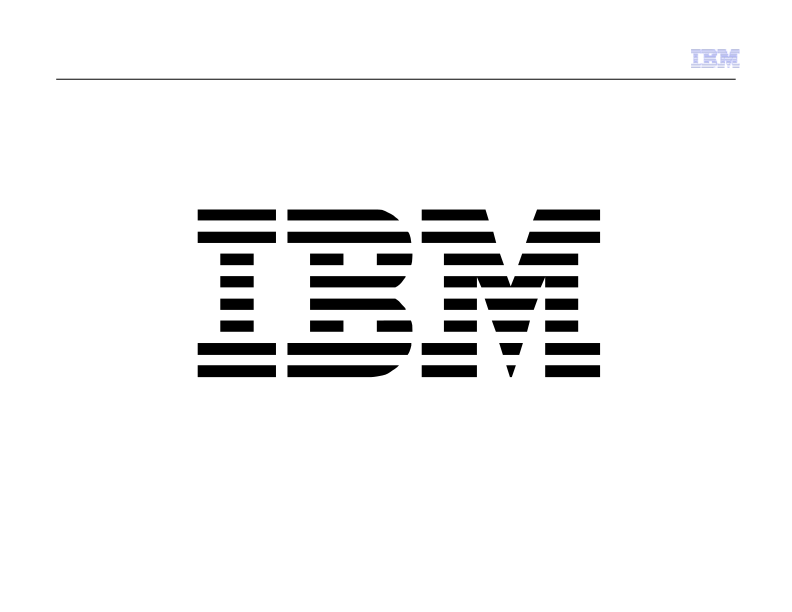 IBM Business Perspective slide image #29