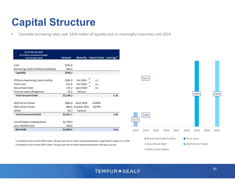 Tempur Sealy Company Presentation slide image #31