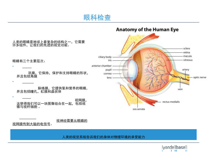 Eye Safety slide image #4