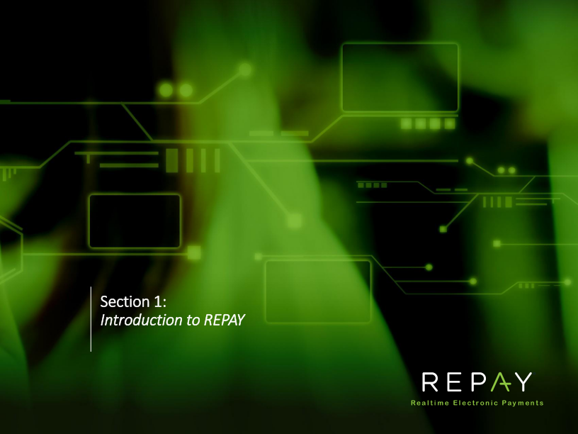 Repay Investor Presentation slide image #4