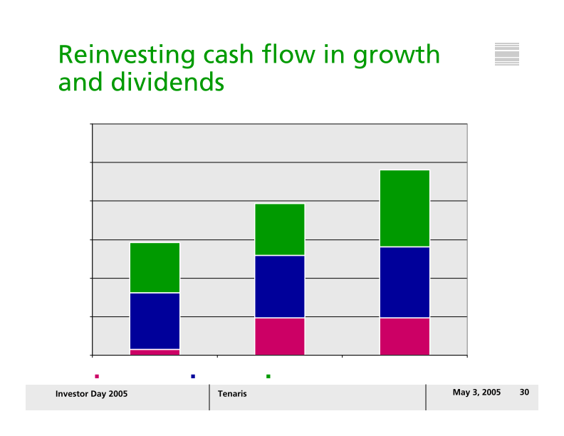 Tenaris Investor Day 2005 slide image #31