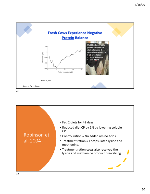 Feeding Lower Protein Rations – How Low Can We Go? slide image #21