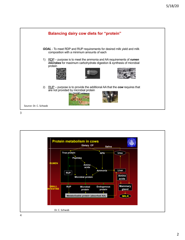 Feeding Lower Protein Rations – How Low Can We Go? slide image #3