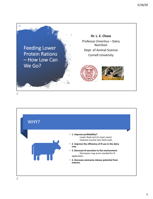 Feeding Lower Protein Rations – How Low Can We Go? image