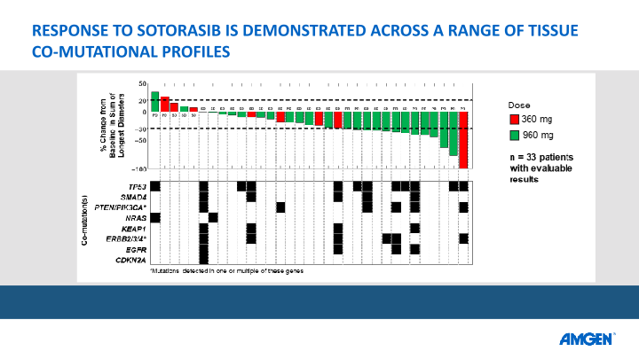 Amgen Sotorasib Data at Esmo Virtual Congress 2020 slide image #21