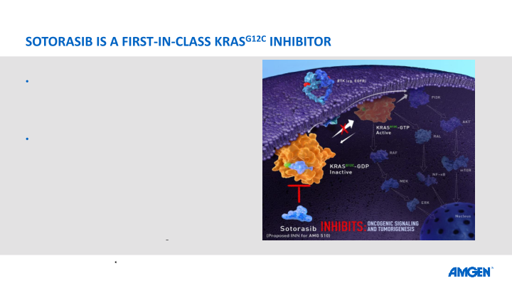 Amgen Sotorasib Data at Esmo Virtual Congress 2020 slide image #11