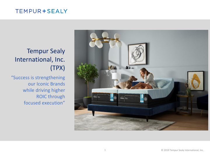 Tempur Sealy International, Inc.  Company Presentation image