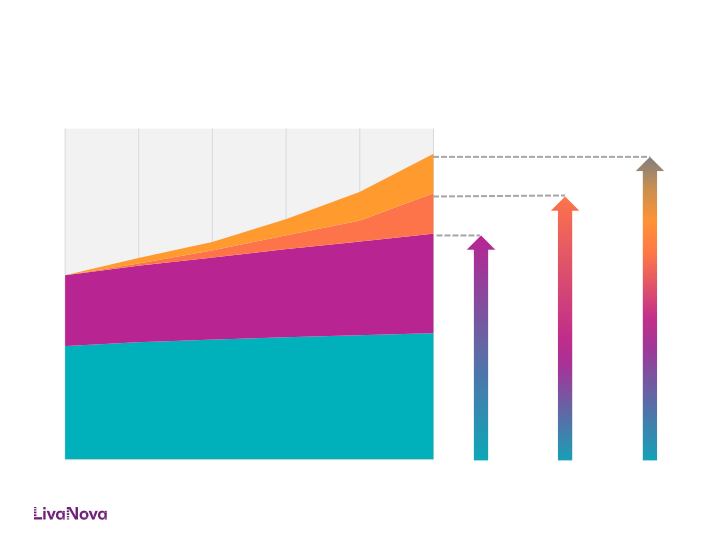 LivaNova Investor Presentation slide image #32