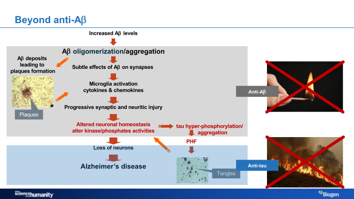 Alzheimer’s Disease Research Portfolio slide image #18