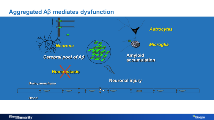 Alzheimer’s Disease Research Portfolio slide image #11