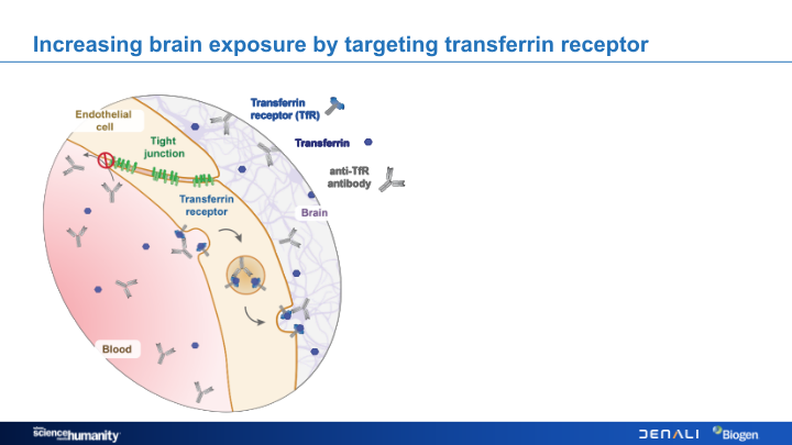 Alzheimer’s Disease Research Portfolio slide image #15