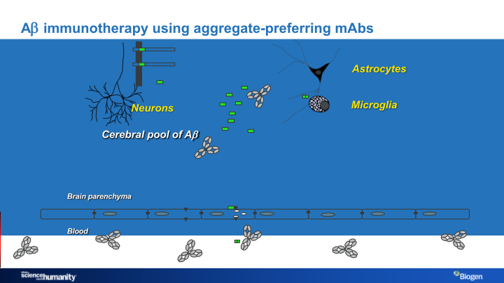 Alzheimer’s Disease Research Portfolio slide image #13