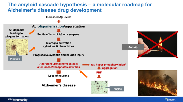 Alzheimer’s Disease Research Portfolio slide image #9