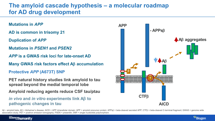 Alzheimer’s Disease Research Portfolio slide image #6