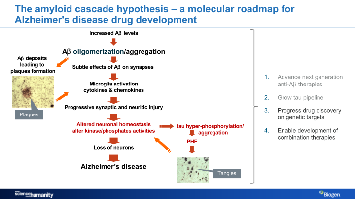 Alzheimer’s Disease Research Portfolio slide image #25