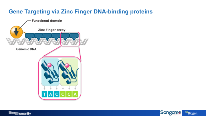 Alzheimer’s Disease Research Portfolio slide image #21