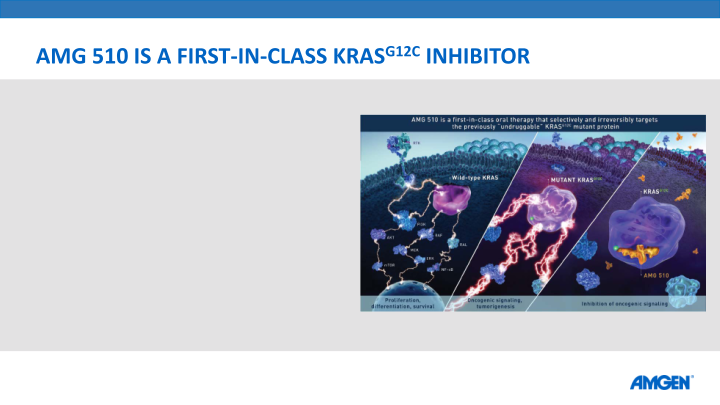 Amg 510 Update From Esmo 2019 slide image #10