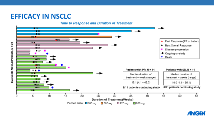 Amg 510 Update From Esmo 2019 slide image #20