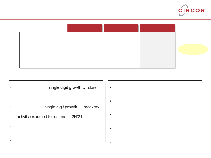 2020 Fourth Quarter and Full Year Earnings Call slide image #11