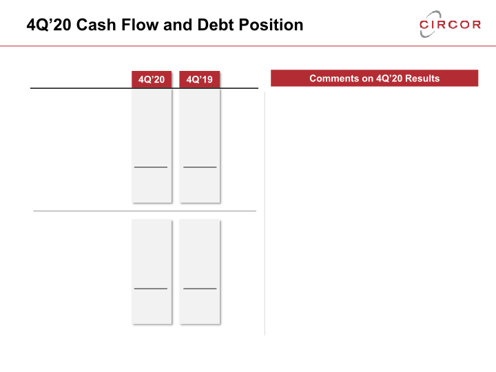 2020 Fourth Quarter and Full Year Earnings Call slide image #8