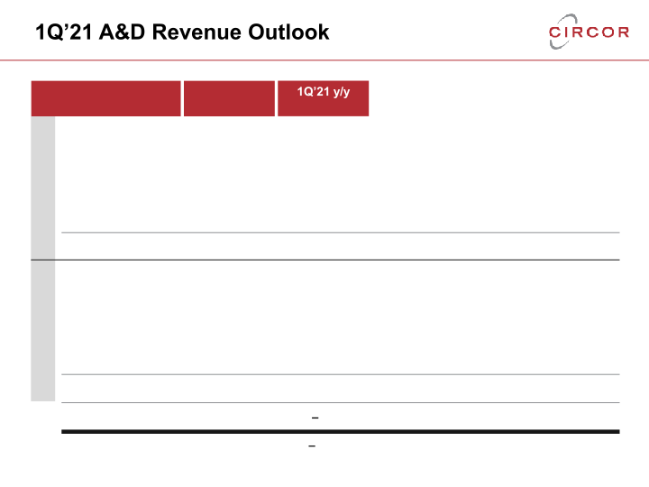 2020 Fourth Quarter and Full Year Earnings Call slide image #10