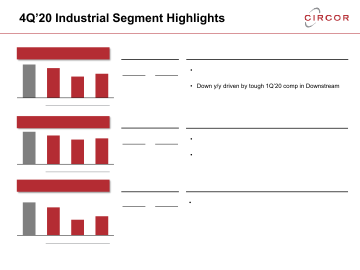 2020 Fourth Quarter and Full Year Earnings Call slide image #5