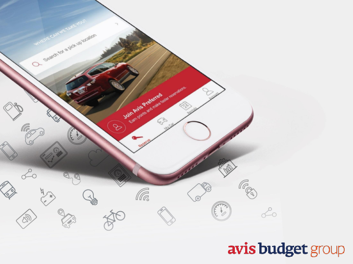 Avis Investor Presentation image