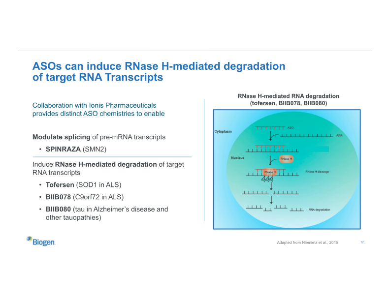 Biogen Company Presentation slide image #18