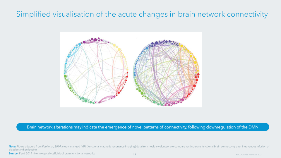 Transforming Mental Health Care Compass Pathways Plc slide image #15