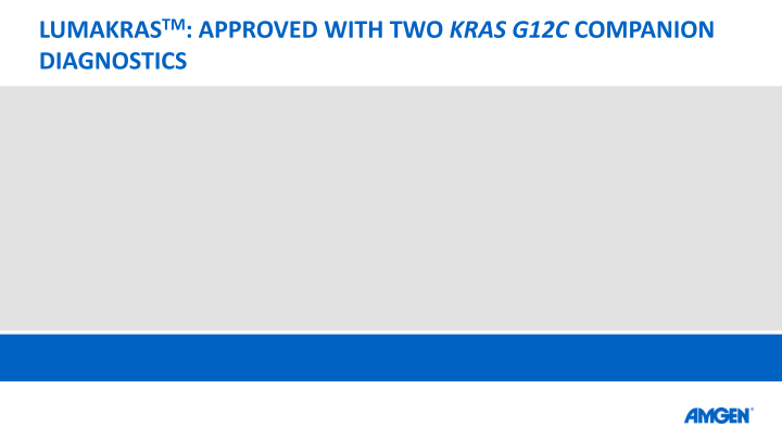 KHK4083 Collaboration with Kyowa Kirin Lumakras™ (Sotorasib) Approval slide image #16