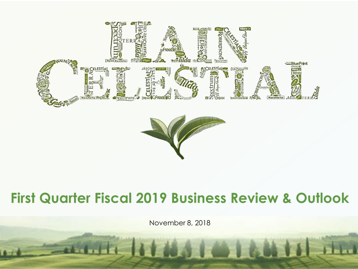 First Quarter Fiscal 2019 Business Review & Outlook image