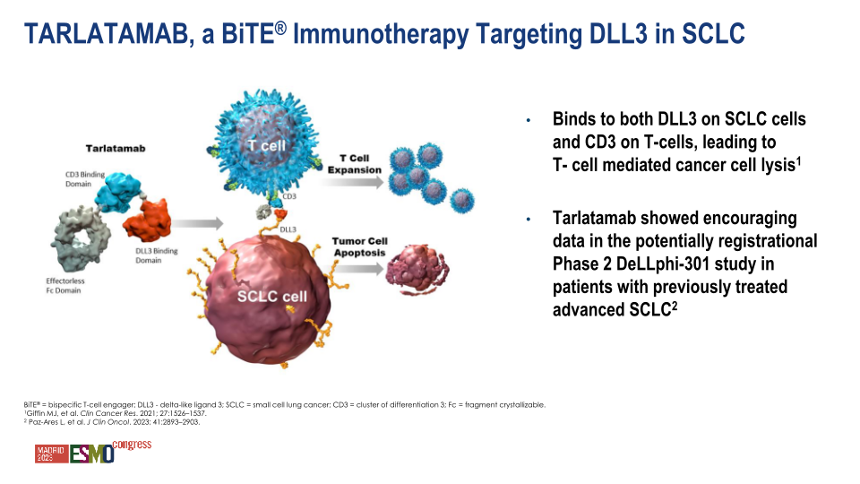 Hematology / Oncology Update Esmo 2023 slide image #14