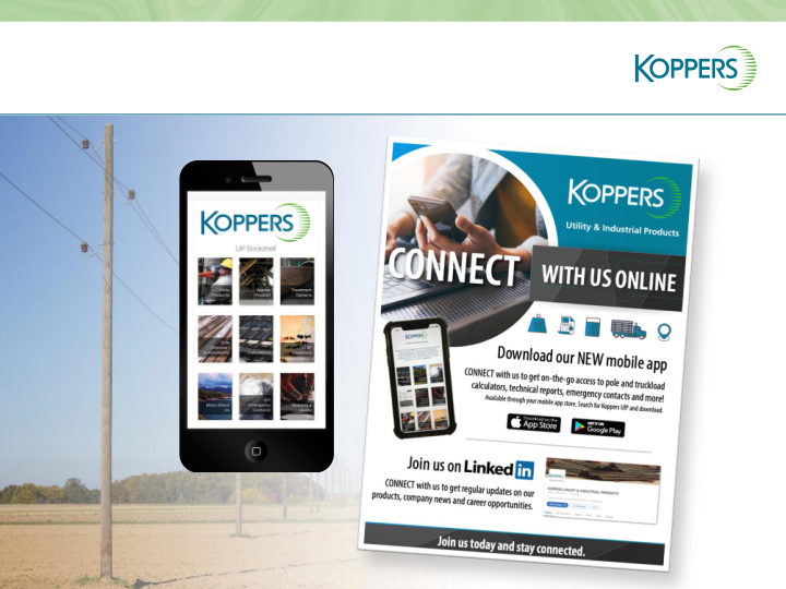 Koppers Q1 2021 Results  slide image #13